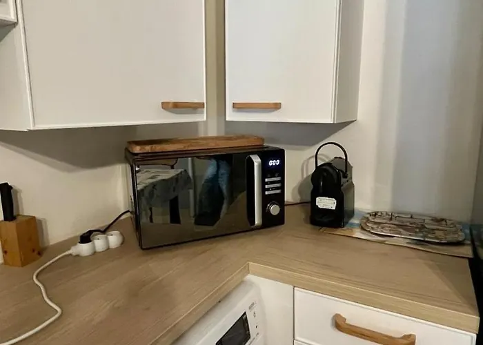 Duplex 公寓 莱萨布勒-多洛讷